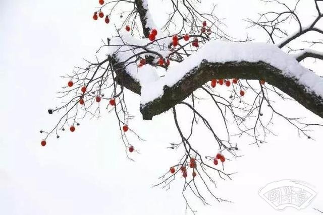 王陽明：面對主動挑釁的人 你應(yīng)該這么做