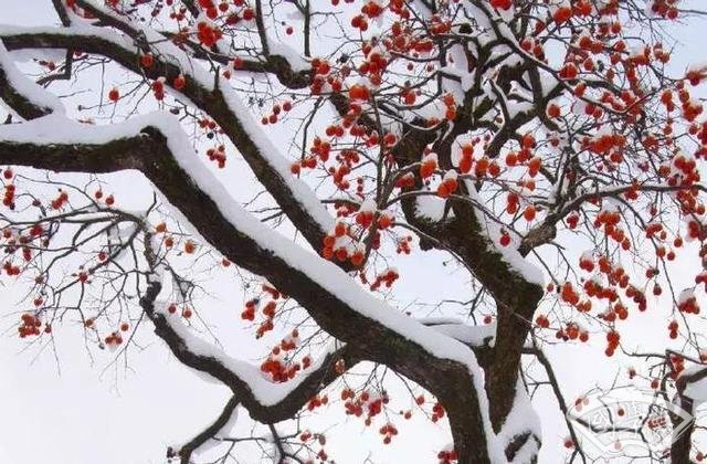 王陽明：面對主動挑釁的人 你應(yīng)該這么做