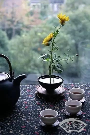 君子如何對(duì)待自己和他人的錯(cuò)誤姨蝴？