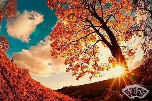 這些成語(yǔ)出自《周易》 這些智慧在你心間