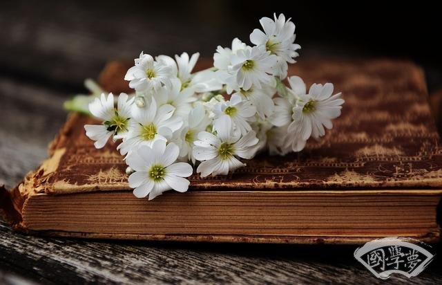 《菜根譚》：讀書多也未必是好事？割坠！